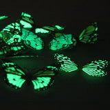 3D Artificial Luminous Glowing  Butterfly Fridge Magnet/3D夜光蝴蝶贴 仿真立体蝴蝶 冰箱贴 客厅卧室墙贴 freeshipping - Bluemoon Secrets Chamber